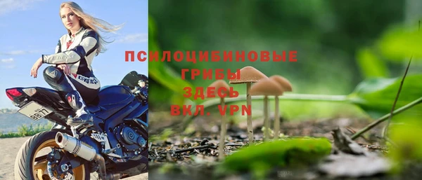 скорость Приозерск