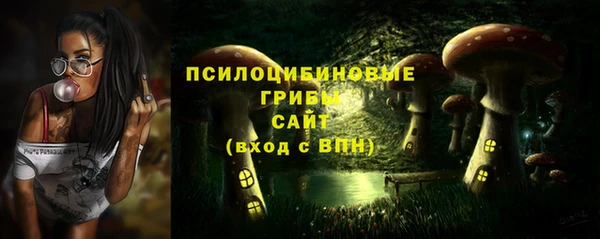 скорость Приозерск