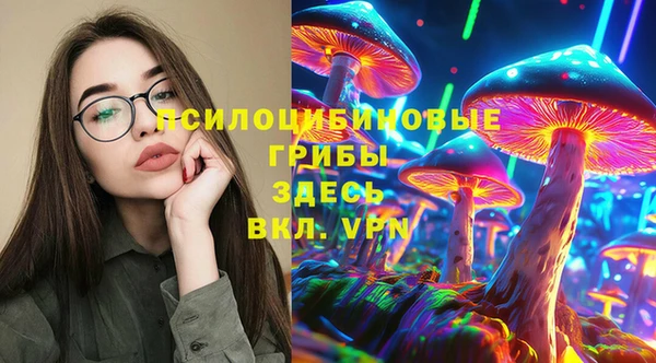 2c-b Протвино