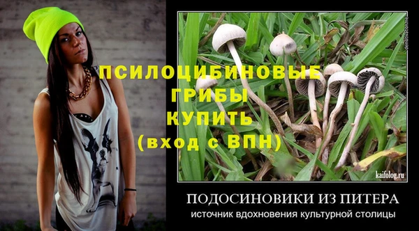 2c-b Протвино