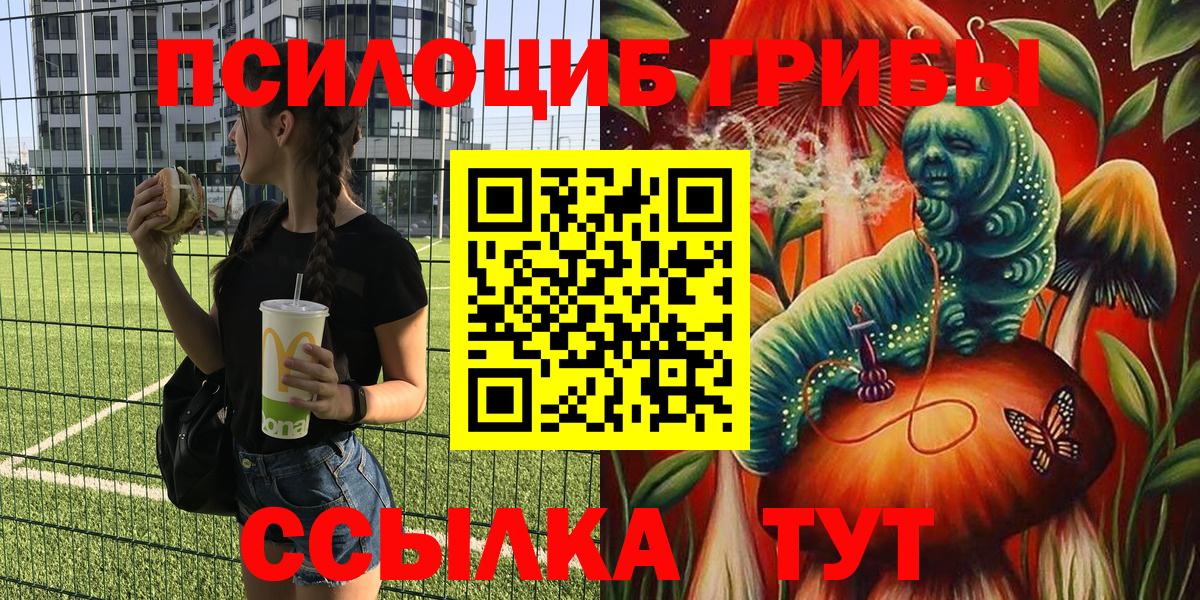 Псилоцибиновые грибы Дербент