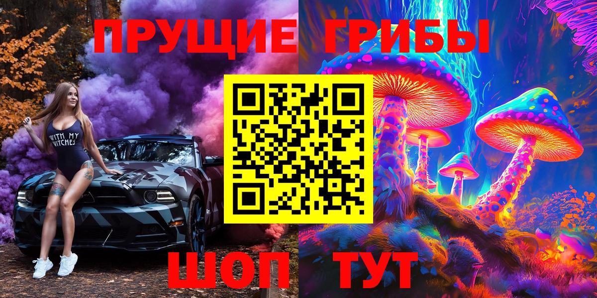 Псилоцибиновые грибы Cubensis Дербент